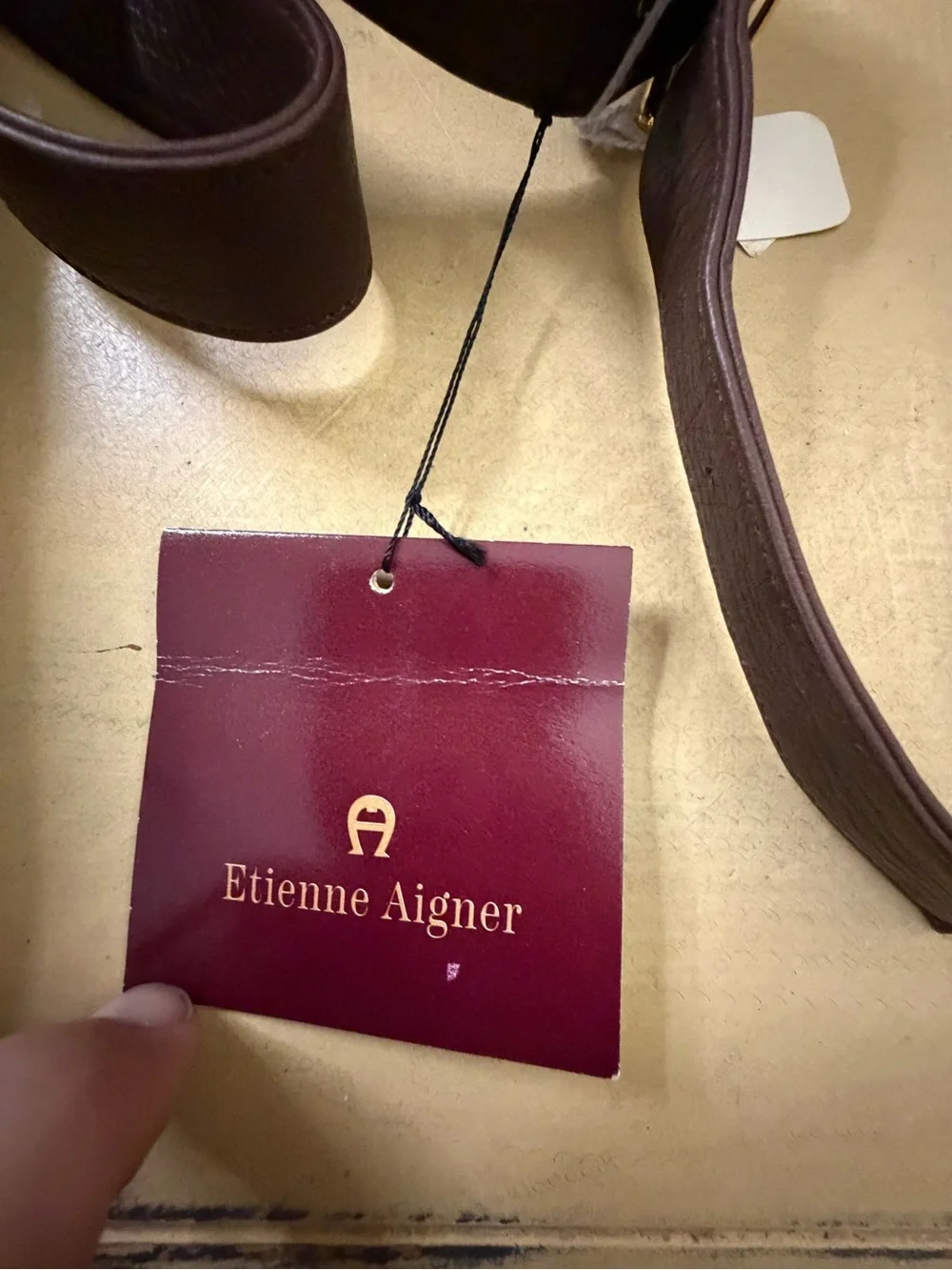 Etienne Aigner Dark Brown Leather Messenger Bag with Gold Hardware